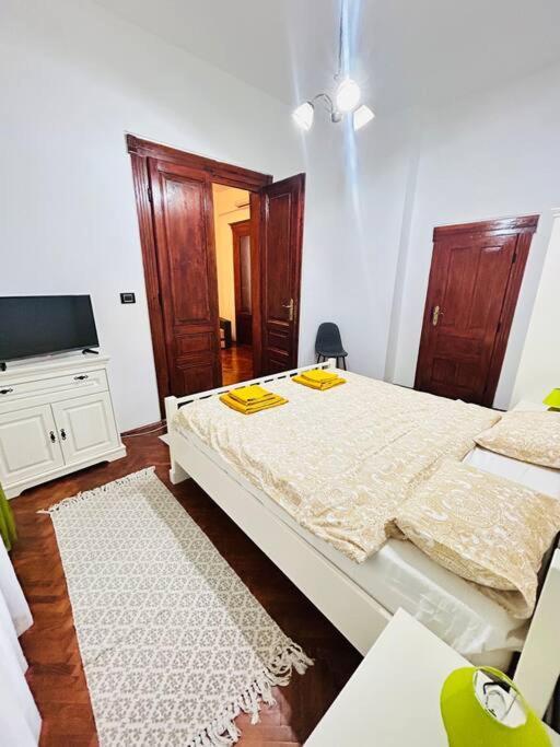 Hidden Gem In The Old Town Apartment Timişoara Exterior foto