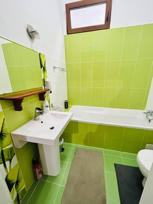 Hidden Gem In The Old Town Apartment Timişoara Exterior foto